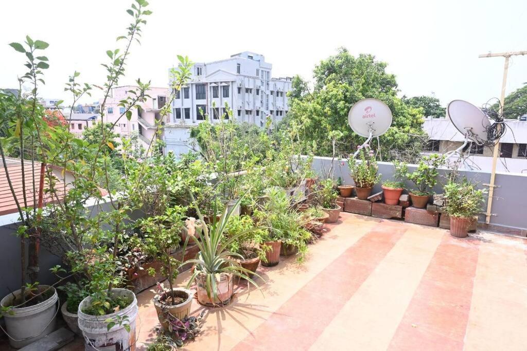 Beautiful Gardenterrace 2 Bhk In Posh City Center Lejlighed Bhubaneswar Eksteriør billede